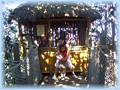 Arbol de los Robinson. Disney